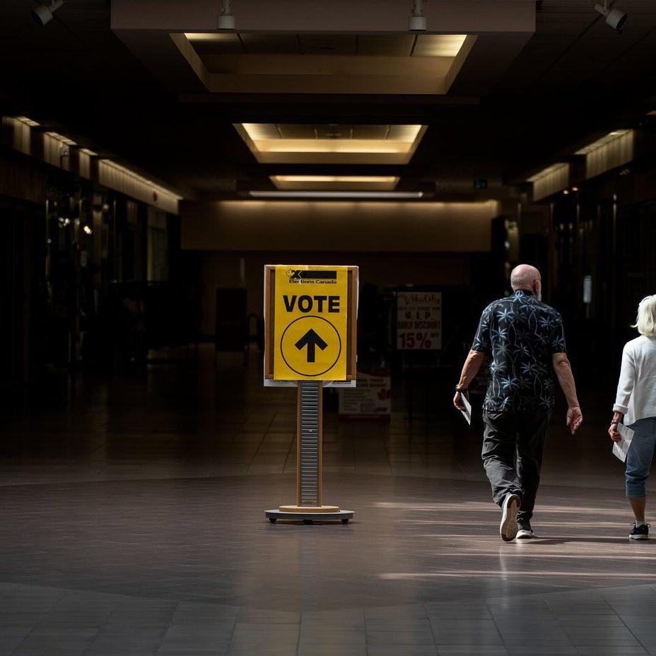 Fact File: Will citizenship markers on Alberta ID stop non-citizens from voting?